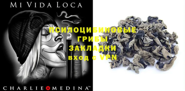 стафф Алексин